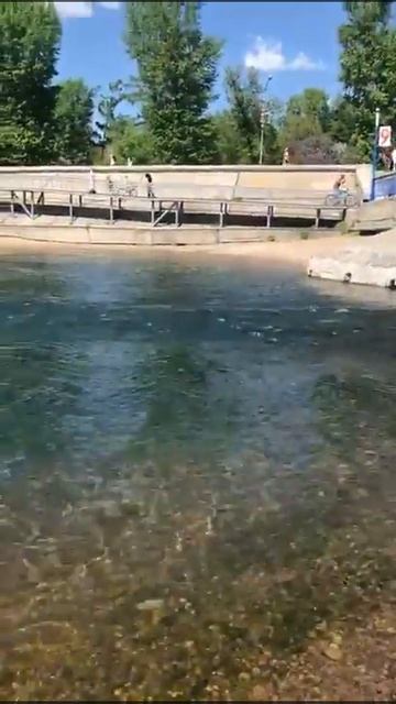 Норка на Ангаре