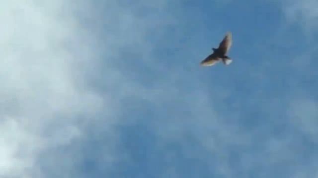 05 07 17 часть 3 смотреть онлайн