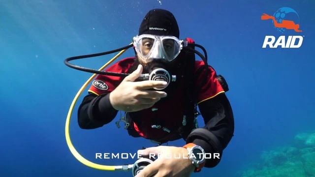 S DRILL SHORT HOSE смотреть онлайн