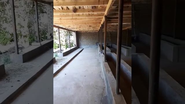 Сарай Озгон. смотреть онлайн
