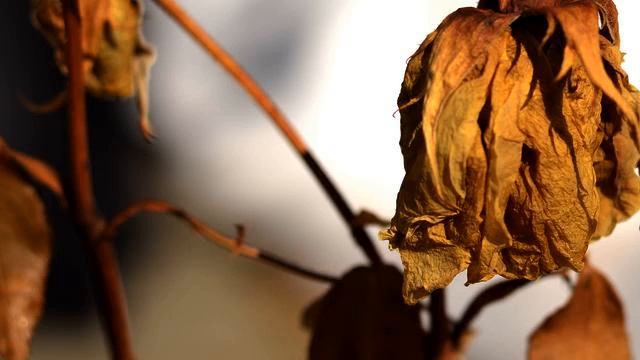 Новые клипы про любовь онлайн смотреть онлайн