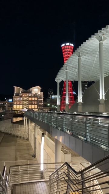 20240302 神戸中突堤に入港している海王丸とコンチェルト　神戸ポートタワーとメリケンパークオリエンタルホテルの夜景 смотреть онлайн