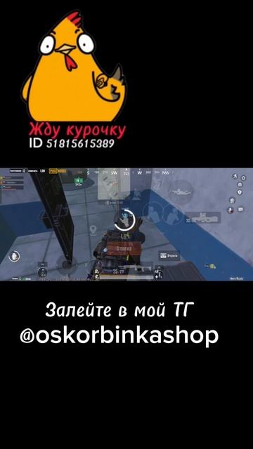 #топ #metroroyale #дверь #золото #игры #pubgmobile #грудазолота смотреть онлайн