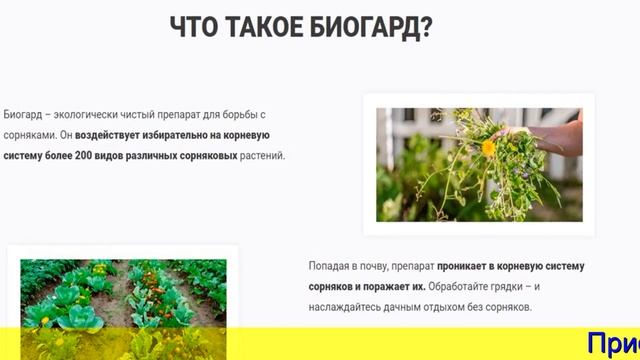 Биогард Средство От Сорняков Цена смотреть онлайн