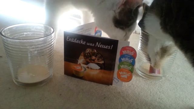 animonda Milkies смотреть онлайн