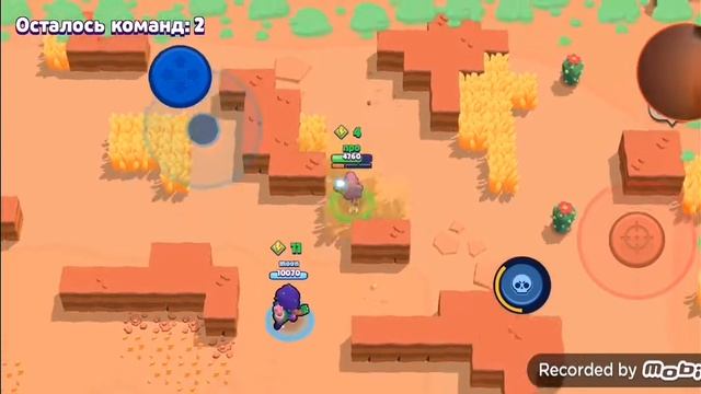 Чёрный бабуин смотреть онлайн