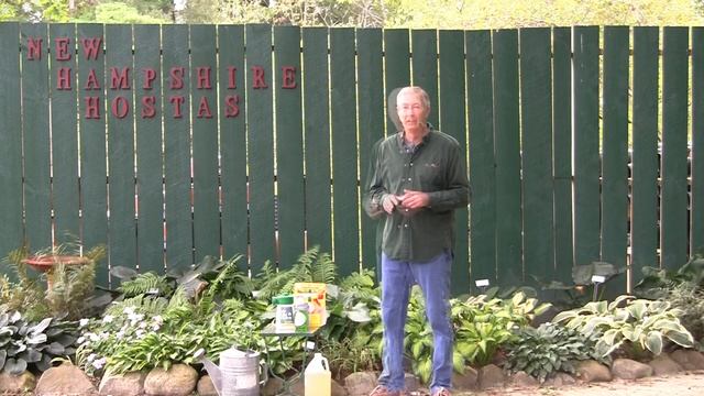 Voles & Mice: How To Have A Vole-Free Garden. Organic Recipe Included! смотреть онлайн