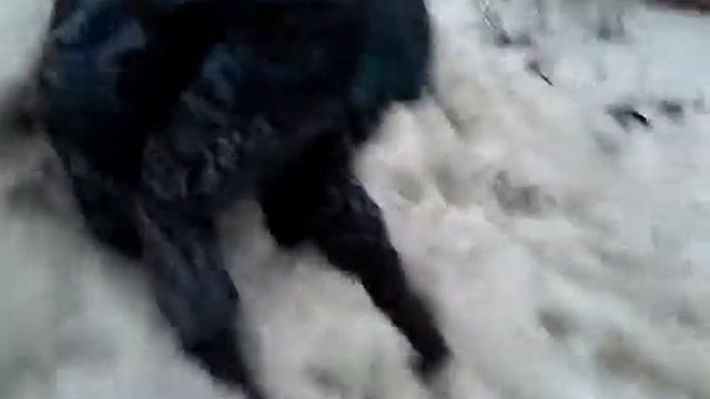 Смех человек-страус смотреть онлайн