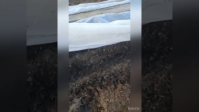 О пользе навоза смотреть онлайн