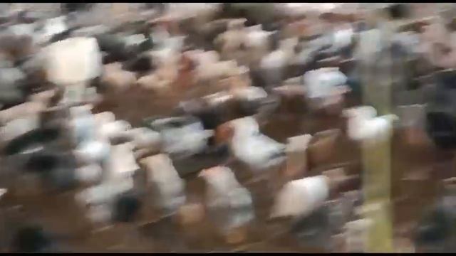 2 May 2023 Complete Rate detail of 350 Gram Chicks || 1 Day chicks || 7 Day chicks смотреть онлайн