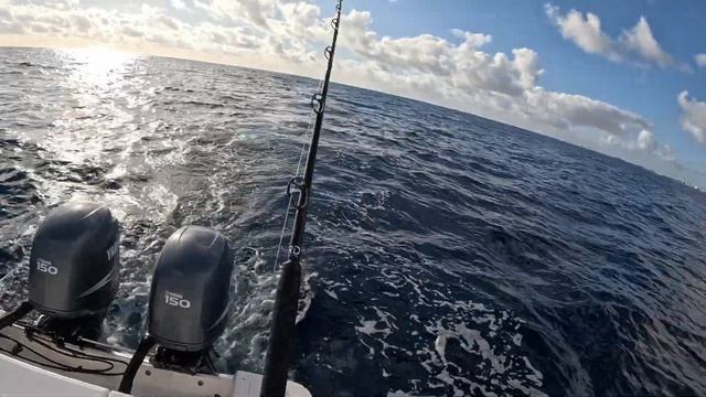 How To Catch Wahoo Trolling By Yourself Solo (Catch, Clean, & Cook) смотреть онлайн