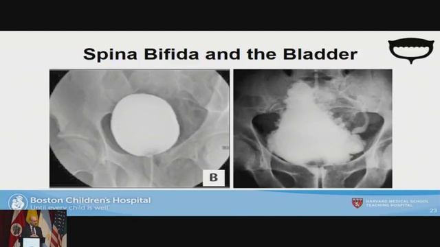 Plenaria, Innovación en investigación. смотреть онлайн
