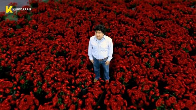 «Պահանջվում է միլիոնատեր» 2010 օնլայն / 