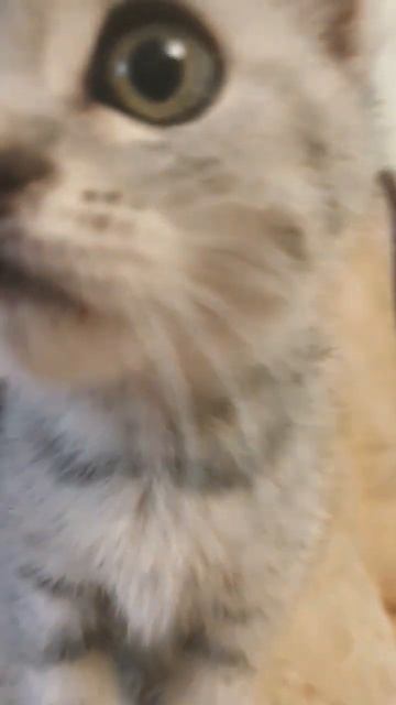 ты🙂видь😐знаешь🤨что😜в субботу😊каты😁 не ходят😃 на работу🤩 а у нас😝суббота каждый день😇 смотреть онлайн