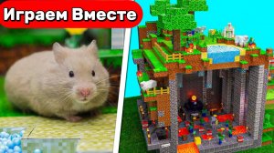 Майнкрафт лабиринт с ловушками для Умного Хомяка 🐹 Весёлые испытания