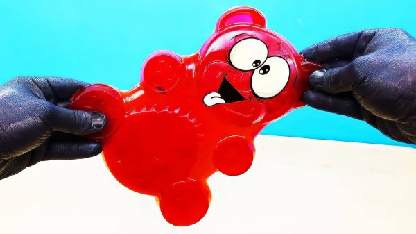 ЧЕРНЫЙ ПАША ПОЗНАВАТЕЛЬ И ЖЕЛЕЙНЫЙ МЕДВЕДЬ ВАЛЕРА