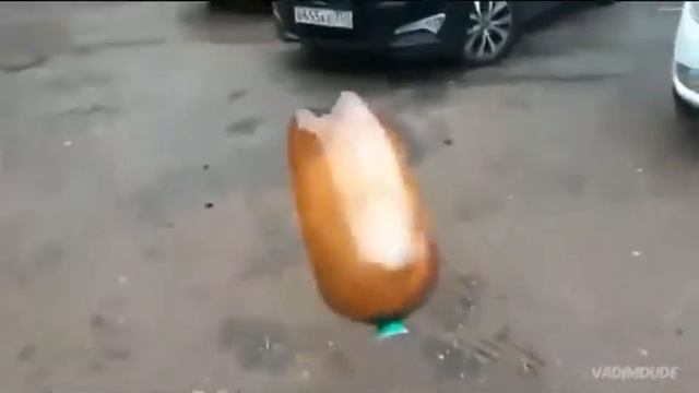 Сок чемпион с собакой смотреть онлайн