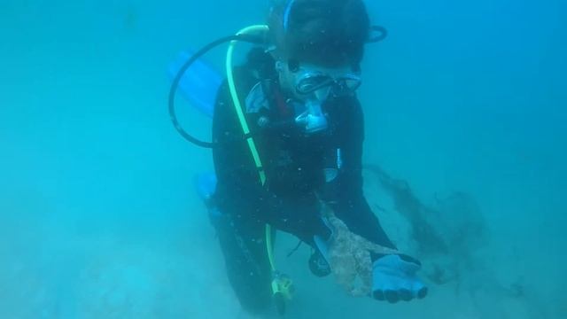 Blue Water Escape in November 2017 смотреть онлайн