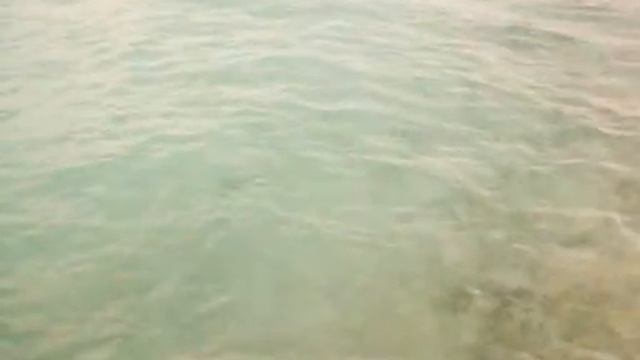 Backflip into the Ocean-- Barcelo Maya смотреть онлайн