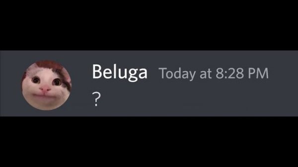 When Vegan Teacher Becomes Non Vegan...|Beluga