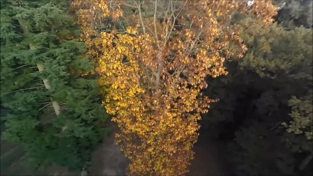 Flying the xiro xplorer mini смотреть онлайн