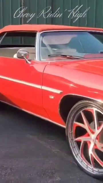 Planted Donk Vert 1971-1976's смотреть онлайн