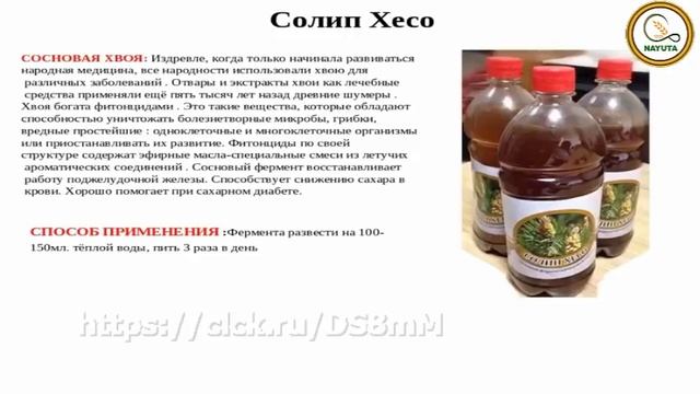 #Nayuta #Наюта О продукции компании рассказывает Леонид Пак смотреть онлайн