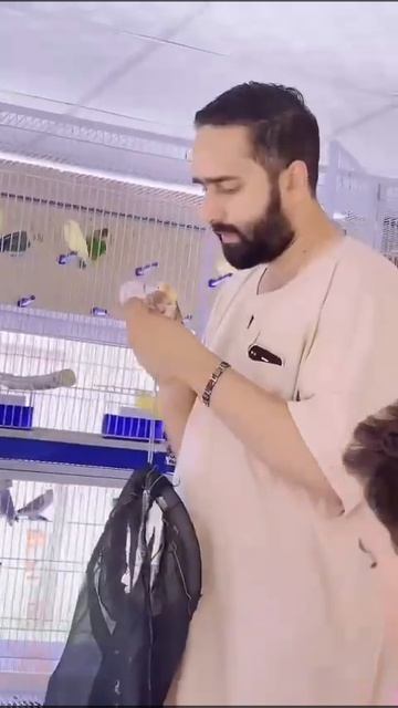 Thanks Naveed Sheikh ❤️ #shorts #reels #foryou #lovebirds #shortsvideo #chicks #viral #aviary смотреть онлайн