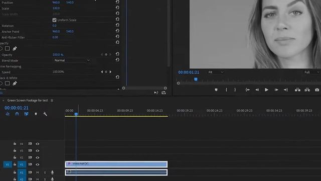 (←This effect) Black and White with Scale Down | Tutorial Premiere Pro | 20 Seconds Tutorial смотреть онлайн