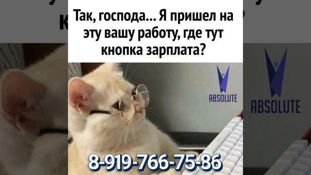 #top #rek #вахта #rabota #memes #москва #деньги #meme #cat #отзывы смотреть онлайн