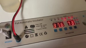 20день инкубации в РЯБА 36 и под квочкой_китайский инкубатор ряба 36_ мешанка для кур_ 27 марта 2025