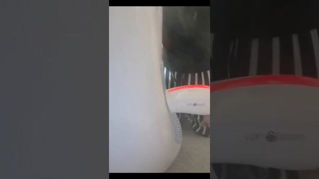 intex rubber ring finally it popped! #pooltoys #floaties #inflatable #pop #bang #puncture #pool смотреть онлайн