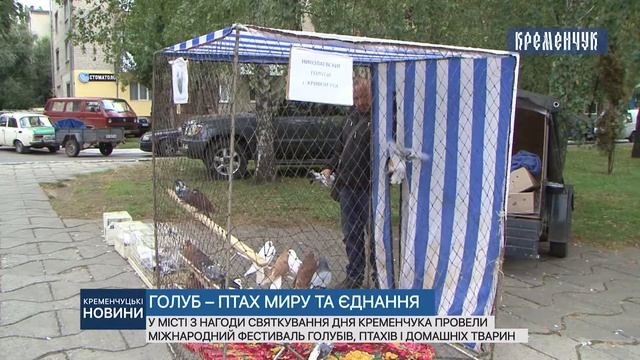 У місті провели Міжнародний фестиваль голубів смотреть онлайн