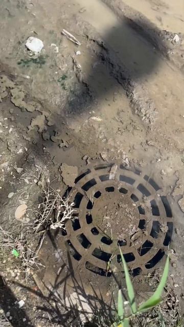 Астрахань 2023 Рынок Большие Исады #астрахань #путешествия #рынок смотреть онлайн