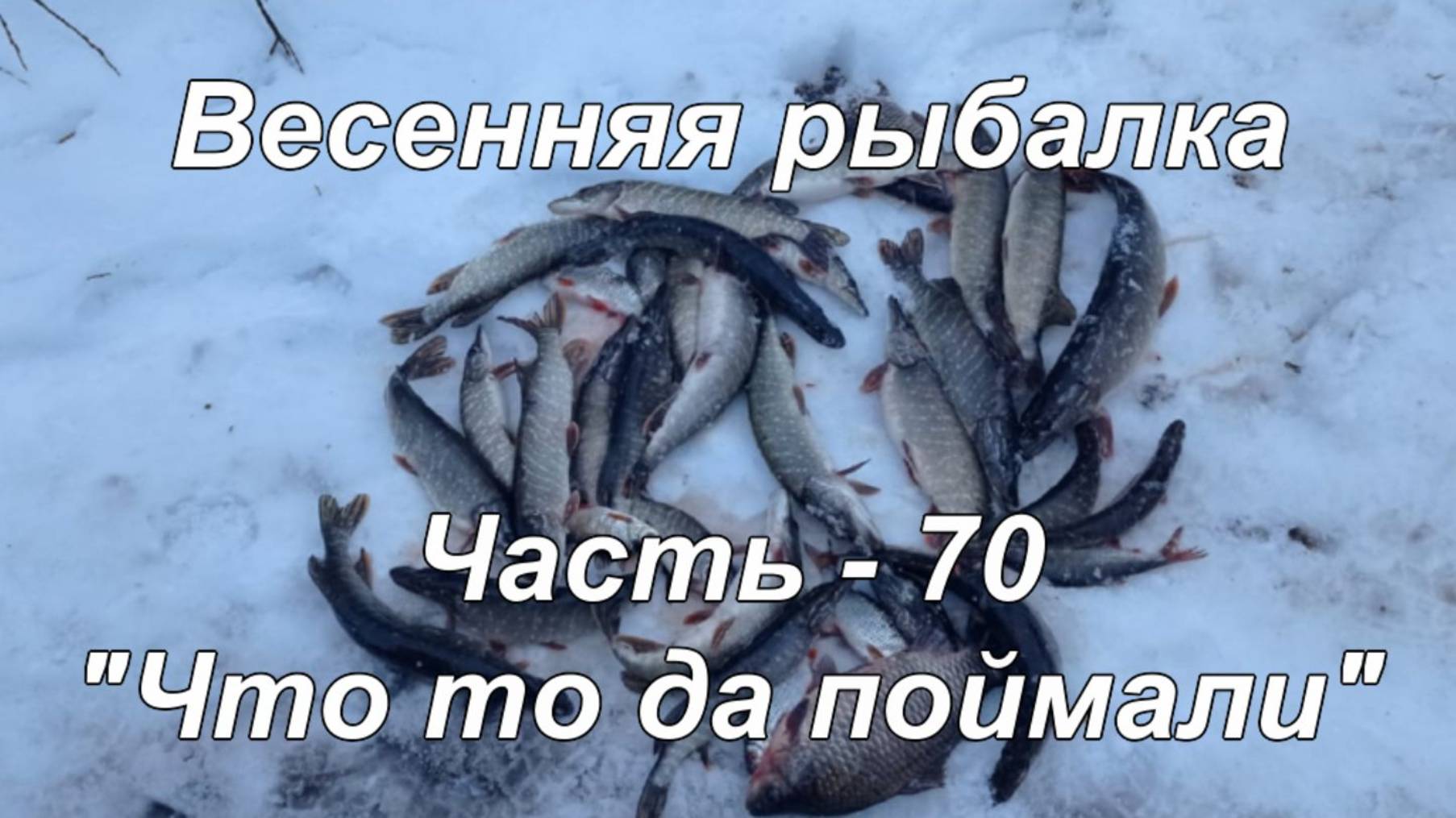 Весенняя рыбалка. Часть - 70. "Что то да поймали". смотреть онлайн