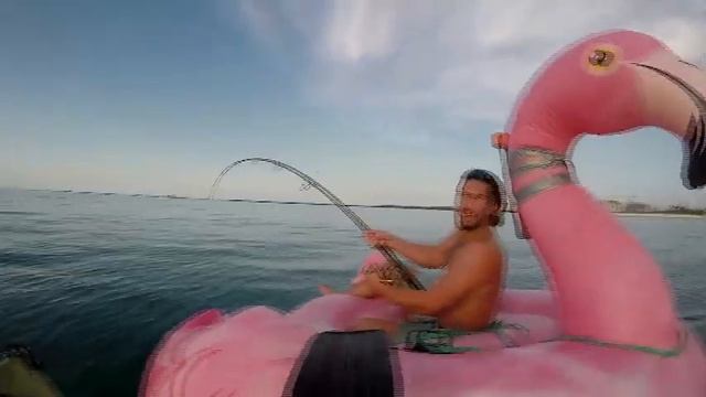 Big Tarpon From Inflatable Flamingo - ALEXWEX.COM смотреть онлайн