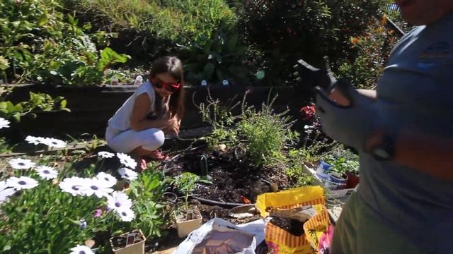 Favorite Tomatoes to Plant in Southern California - Feb 2021 San Diego смотреть онлайн