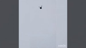 КВГ Орион. Голуби Александра г. Льгов 05.02.23г.