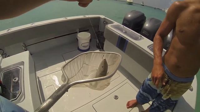 Honeymoon Harbor смотреть онлайн