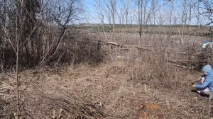 Продолжаю расчищать территорию Большого дома!