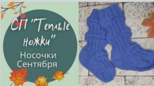 Финские носочкиСП «Теплые ножки» ✨Носочки Сентября ✨