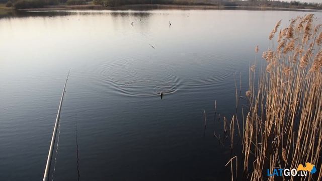 Латгалия - это рыбалка смотреть онлайн