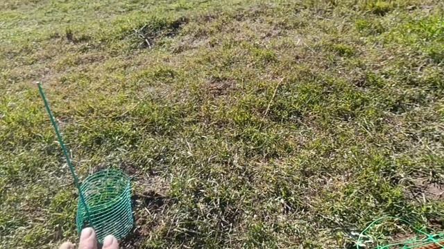 15-04-2025 смотреть онлайн