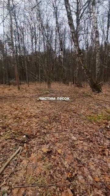 чистка участка с дробилкой. смотреть онлайн