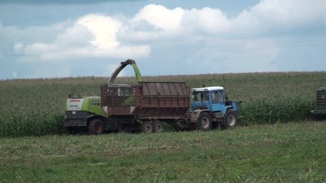 Уборка кукурузы на силос JOHN DEERE 7250,CLAAS JAGUAR 850, МТЗ 82.1,ХТЗ 17221.