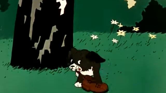 Вот так тигр смотреть онлайн