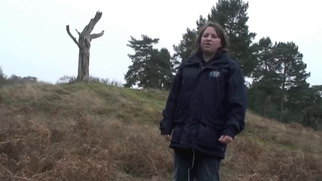 Suffolk Wildlife Trust - we've done it! смотреть онлайн