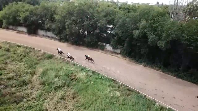 Скачка № 1 16.06.19 Алматинский ипподром смотреть онлайн