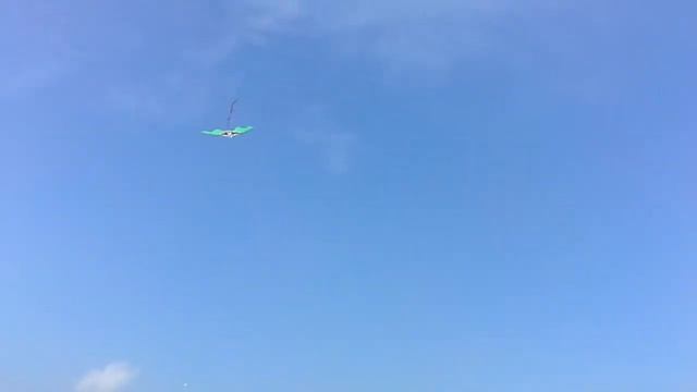 Фестиваль воздушных змеев.Пушкин-2016. смотреть онлайн