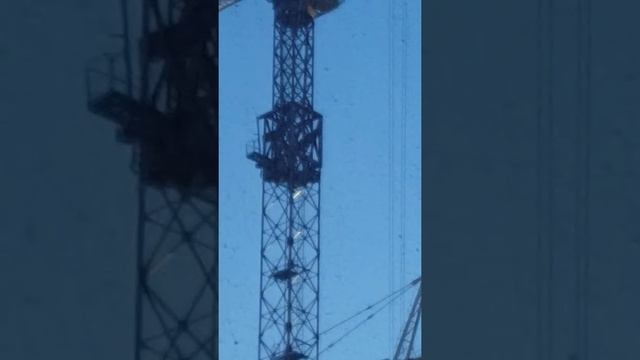 Не легкая дорога на работу.) смотреть онлайн